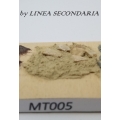 MODELTERRA MT005